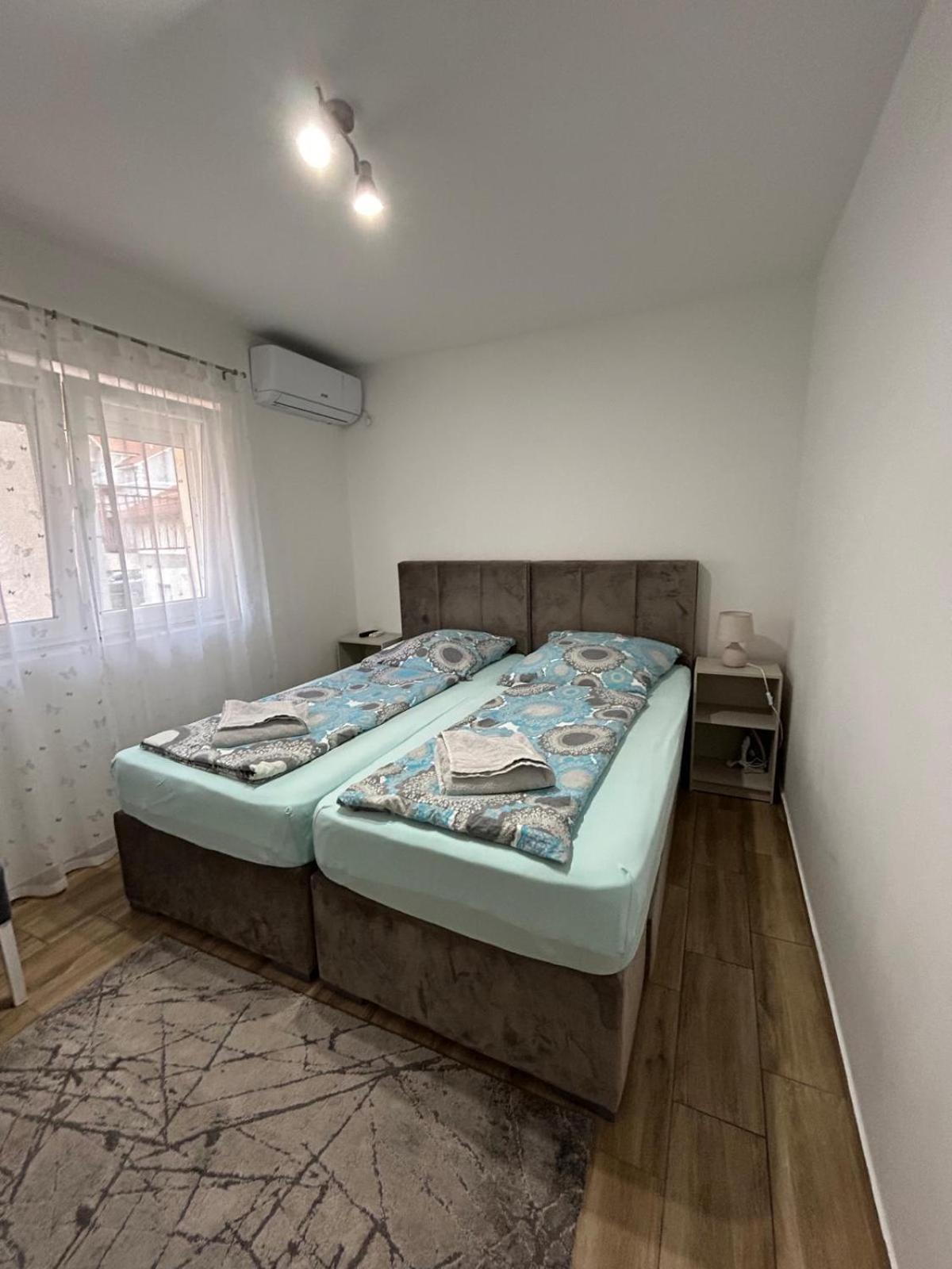 Villa Ronic Sokobanja Extérieur photo